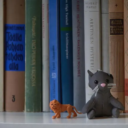 Pielinen بيت شباب Vuonislahti