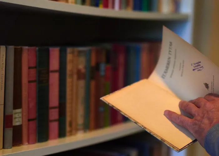 Pielinen * Vuonislahti