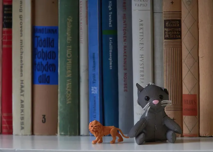 Pielinen Vandrerhjem Vuonislahti